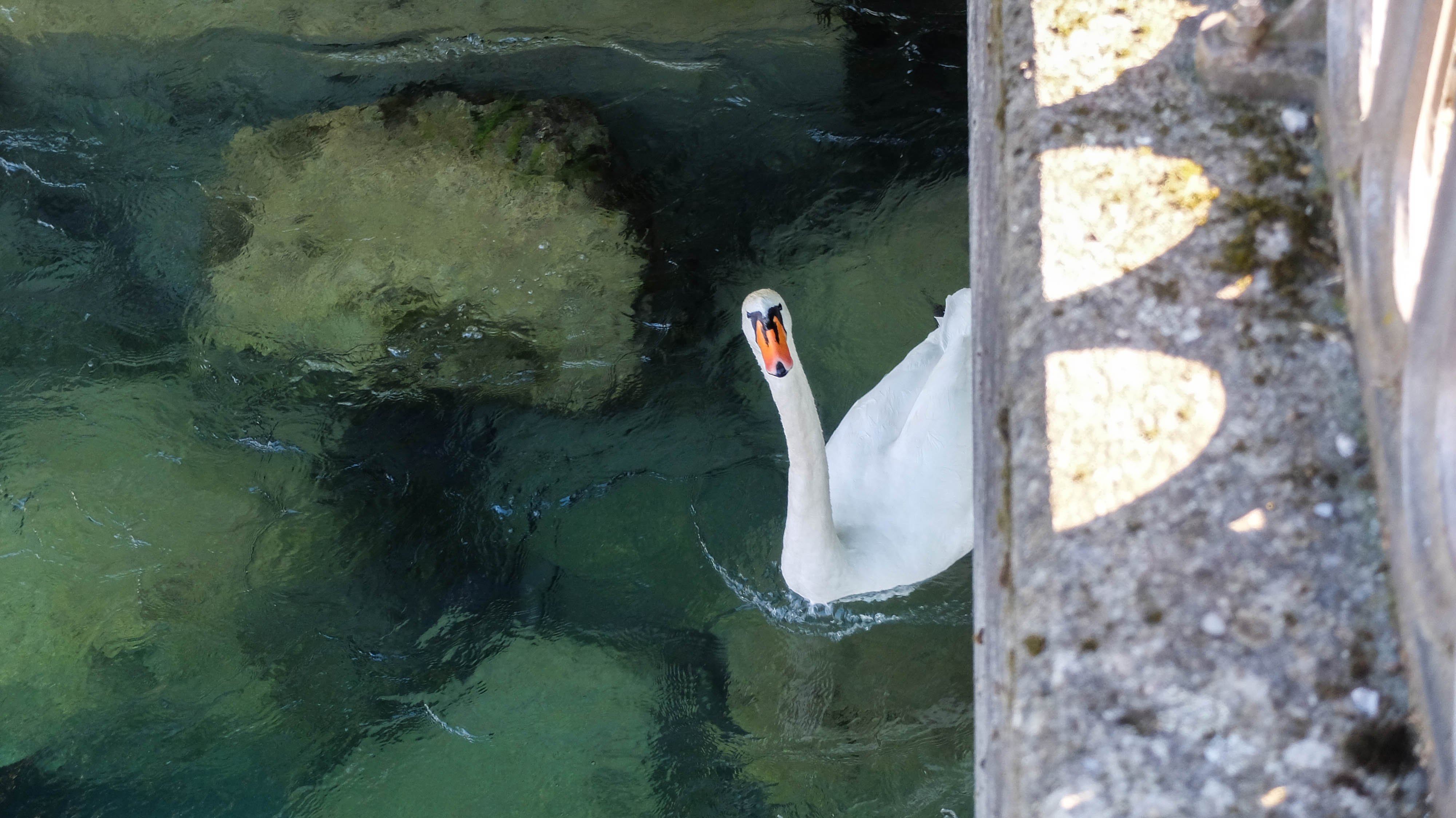 Fotografia de Natureza